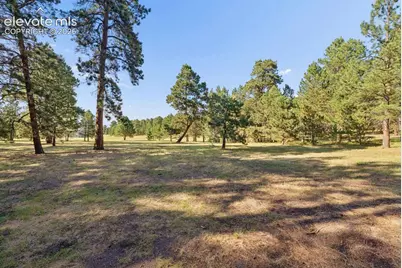 19825 Soaring Wing Drive, Colorado Springs, CO 80908 - Photo 46