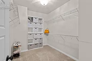 1168 Foothills Farm Way, Colorado Springs, CO 80921 - Photo 24