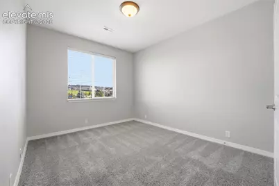 5051 Gibson Lake Court, Colorado Springs, CO 80924 - Photo 28