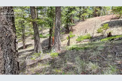 26 N Eldorado Circle, Florissant, CO 80816 - Photo 30