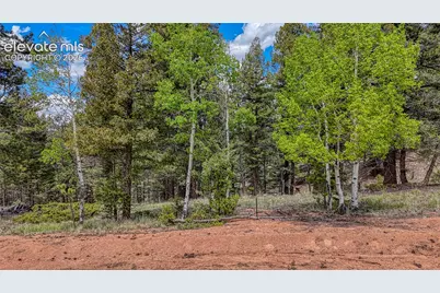 26 N Eldorado Circle, Florissant, CO 80816 - Photo 1