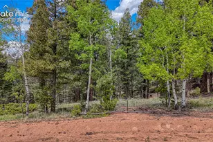 26 N Eldorado Circle, Florissant, CO 80816 - Photo 1