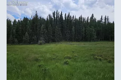 702 Lake Drive, Divide, CO 80814 - Photo 4