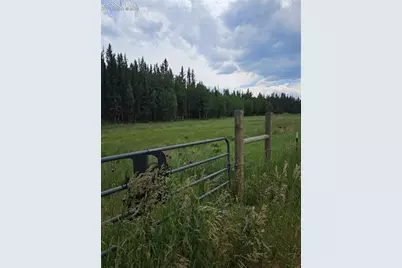 702 Lake Drive, Divide, CO 80814 - Photo 10