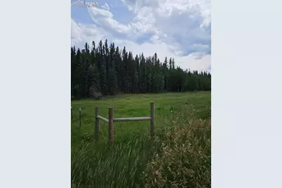 702 Lake Drive, Divide, CO 80814 - Photo 6