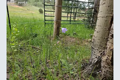702 Lake Drive, Divide, CO 80814 - Photo 20