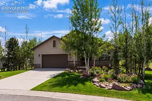 1157 Ptarmigan Dr, Woodland Park, CO 80863 - Photo 38