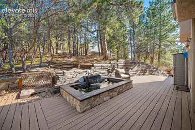 1010 S Park Drive, Monument, CO 80132 - Photo 44