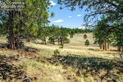 56 Dallas Park Circle, Florissant, CO 80816 - Photo 6