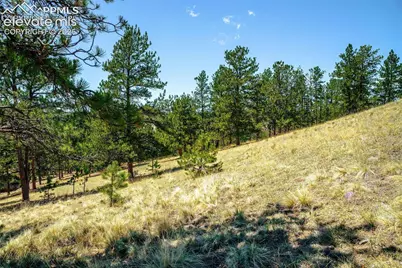 56 Dallas Park Circle, Florissant, CO 80816 - Photo 18