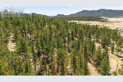 56 Dallas Park Circle, Florissant, CO 80816 - Photo 1