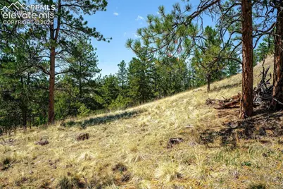 56 Dallas Park Circle, Florissant, CO 80816 - Photo 20