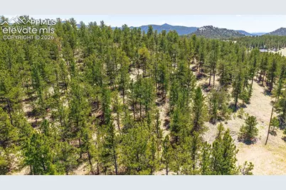 56 Dallas Park Circle, Florissant, CO 80816 - Photo 12