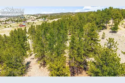 56 Dallas Park Circle, Florissant, CO 80816 - Photo 4