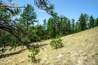 56 Dallas Park Circle, Florissant, CO 80816 - Photo 8