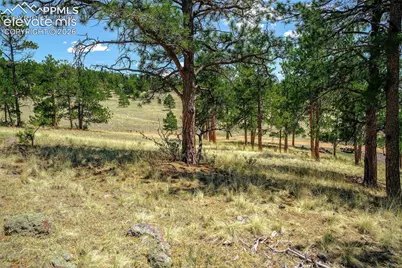 56 Dallas Park Circle, Florissant, CO 80816 - Photo 10