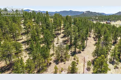 56 Dallas Park Circle, Florissant, CO 80816 - Photo 22