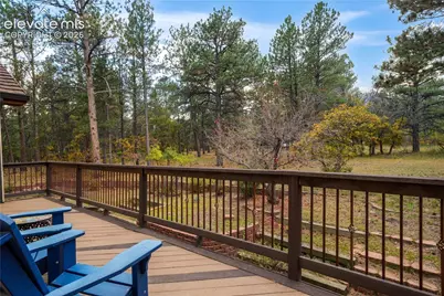 17555 Shiloh Pines Drive, Monument, CO 80132 - Photo 12