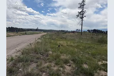 13810 Wildoak Drive, Black Forest, CO 80908 - Photo 10