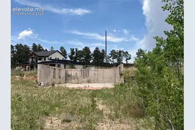 13810 Wildoak Drive, Black Forest, CO 80908 - Photo 22