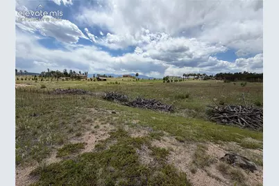 13810 Wildoak Drive, Black Forest, CO 80908 - Photo 2