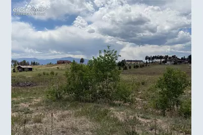 13810 Wildoak Drive, Black Forest, CO 80908 - Photo 16