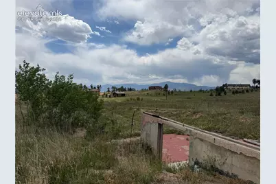13810 Wildoak Drive, Black Forest, CO 80908 - Photo 18