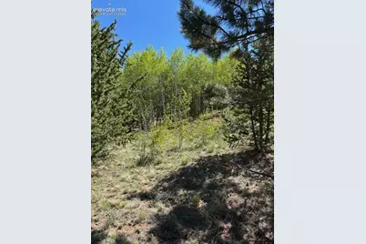 124 Yorktown Road, Cripple Creek, CO 80813 - Photo 2