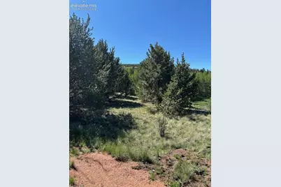 124 Yorktown Road, Cripple Creek, CO 80813 - Photo 6