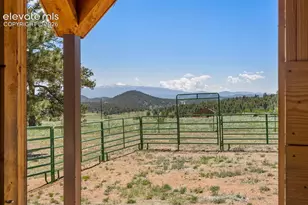 546 Pulver Rd, Lake George, CO 80827 - Photo 30