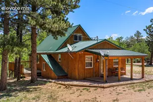 546 Pulver Rd, Lake George, CO 80827 - Photo 2