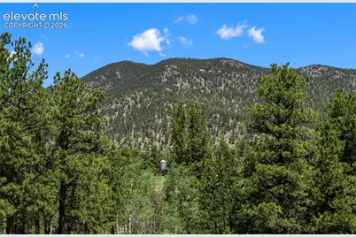 546 Pulver Road, Lake George, CO 80827 - Photo 24