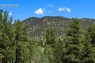 546 Pulver Rd, Lake George, CO 80827 - Photo 24