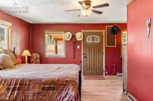 546 Pulver Rd, Lake George, CO 80827 - Photo 14