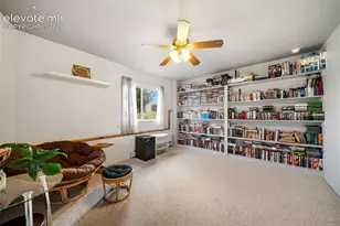 55 Crystal Peak Dr, Lake George, CO 80827 - Photo 18