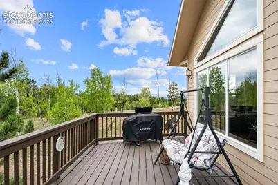 55 Crystal Peak Drive, Lake George, CO 80827 - Photo 26