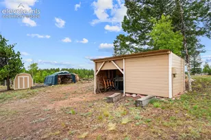 55 Crystal Peak Dr, Lake George, CO 80827 - Photo 30