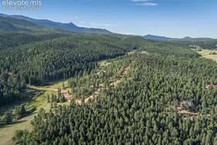 6100 Elk Vly Rd, Divide, CO 80814 - Photo 48
