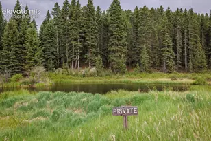 6100 Elk Vly Rd, Divide, CO 80814 - Photo 44