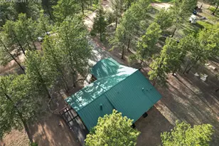 170 Druid Trail, Florissant, CO 80814 - Photo 44