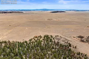 2030 Puma Hills Rd, Lake George, CO 80827 - Photo 26