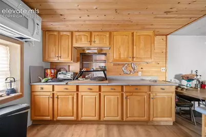 2030 Puma Hills Road, Lake George, CO 80827 - Photo 10