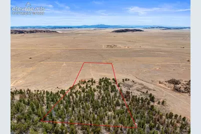 2030 Puma Hills Road, Lake George, CO 80827 - Photo 4