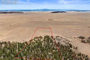 2030 Puma Hills Rd, Lake George, CO 80827 - Photo 4