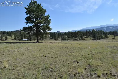 431 High Chateau Road, Florissant, CO 80816 - Photo 40