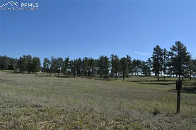 431 High Chateau Road, Florissant, CO 80816 - Photo 30
