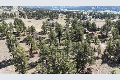 431 High Chateau Road, Florissant, CO 80816 - Photo 22