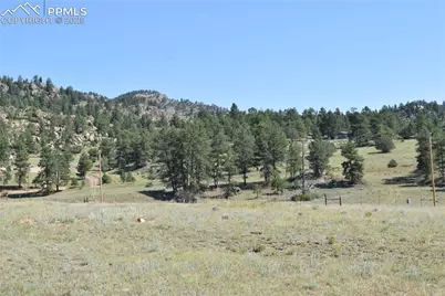 431 High Chateau Road, Florissant, CO 80816 - Photo 8
