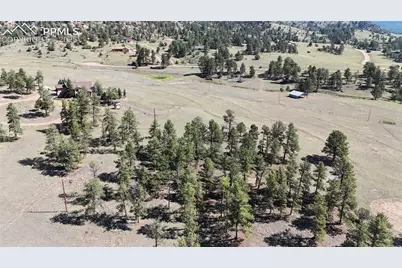 431 High Chateau Road, Florissant, CO 80816 - Photo 16
