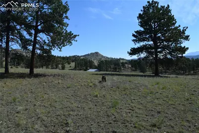 431 High Chateau Road, Florissant, CO 80816 - Photo 34